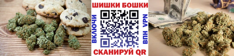 Canna-Cookies марихуана мега онион Асино
