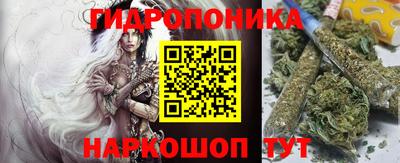 сатива Аргун
