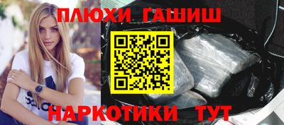 сатива Аргун