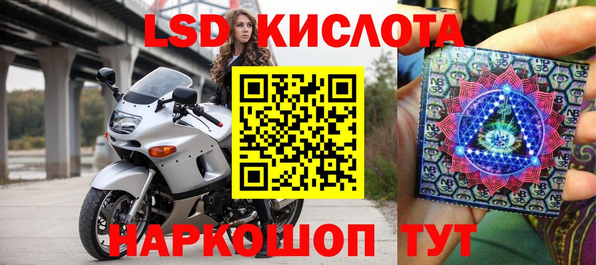 Псилоцибиновые грибы Асино