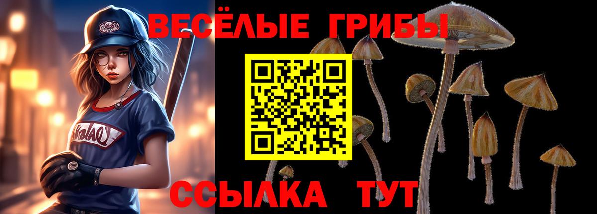 закладка  Асино  Галлюциногенные грибы прущие грибы 