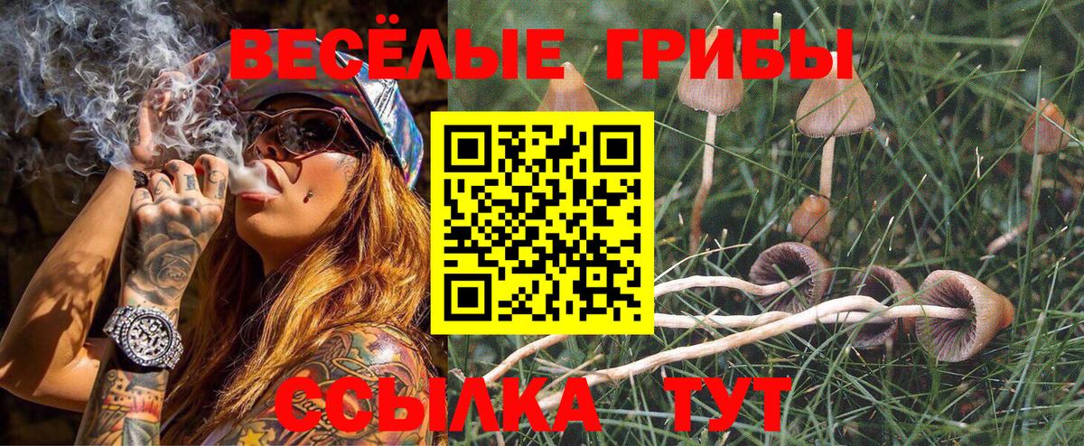 Псилоцибиновые грибы ЛСД Асино