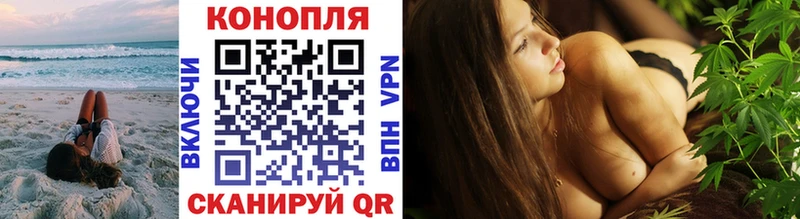 как найти   Асино  Каннабис семена 